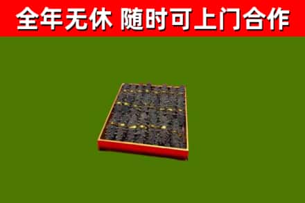 永城市回收海参